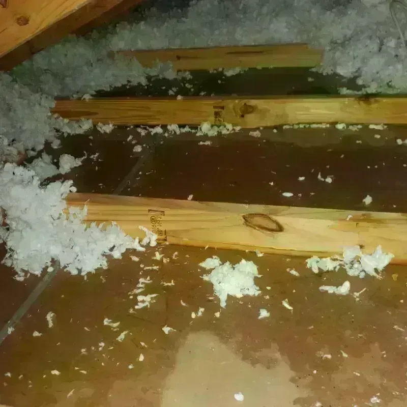 Attic Water Damage in Wauregan, CT